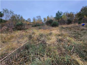 Monday 13th April 2026 Snelsmore Common