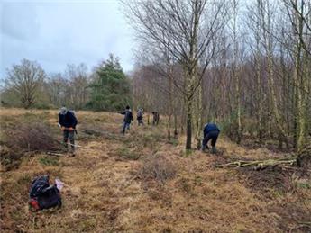Monday 5th January 2026 Burghclere Common