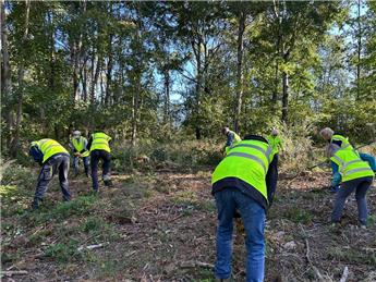 Monday 23rd February 2026 Greyfield Wood