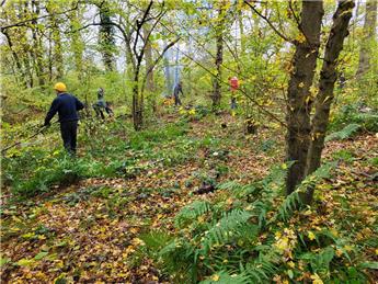1st December 2025 Rushall Manor Farm