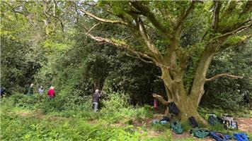 Monday 20th July 2026 Burghclere Common