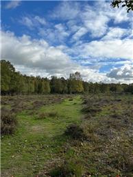 Monday 10th November 2025 Inkpen Common