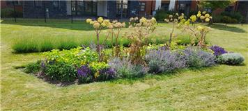 Tuesday 22nd April 2025 NHS Commemorative Garden