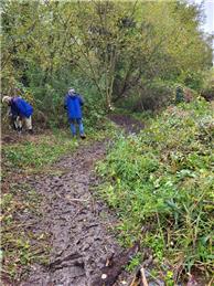 Monday 2nd June Northcroft Meadows